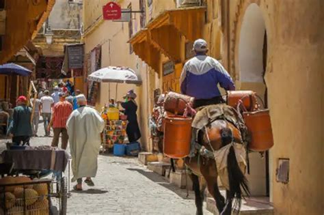 excursin a tnger desde cdiz|Excursión de un día con todo incluido de Cádiz a Tánger,。